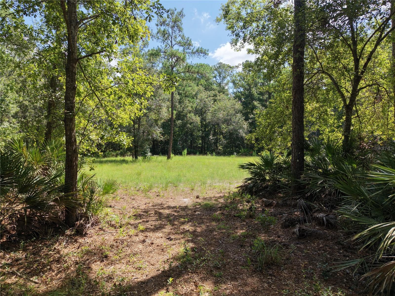 Manufactured Home at 375 BUCK SPRINGS RD, PALATKA, photo 69 of 78