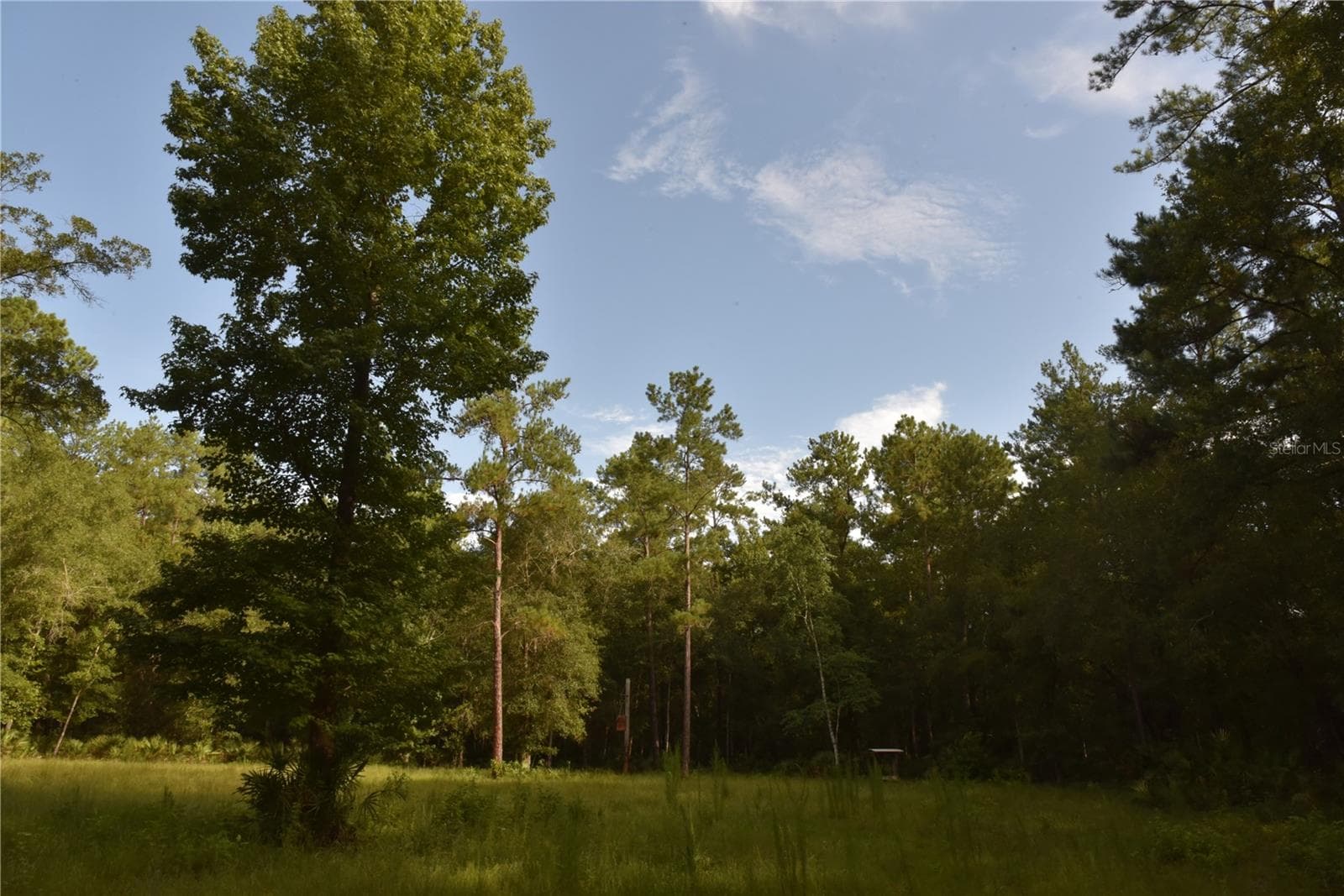Manufactured Home at 375 BUCK SPRINGS RD, PALATKA, photo 76 of 78