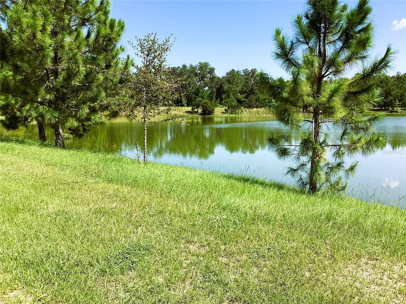 Community amenities - 149 SW BELLFLOWER DR, LAKE CITY