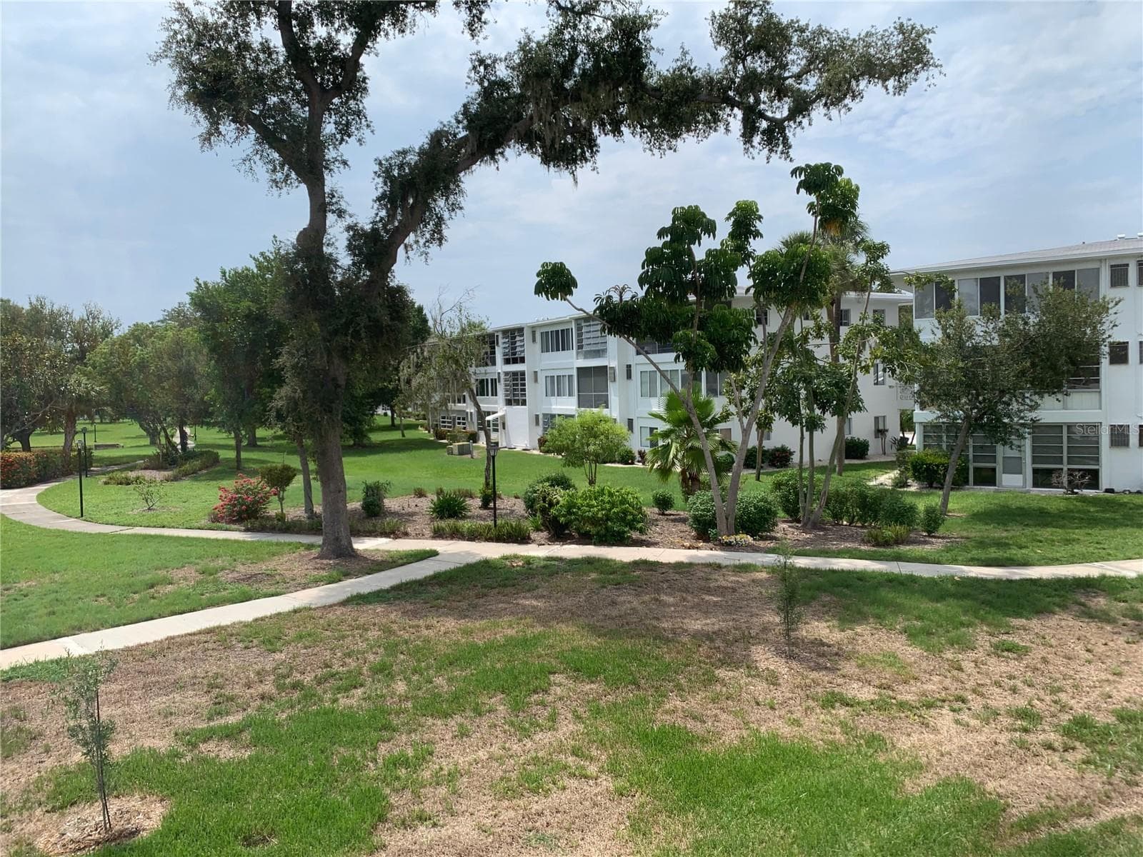 View of garden area from back screened porch - 8126 112TH ST #203, SEMINOLE