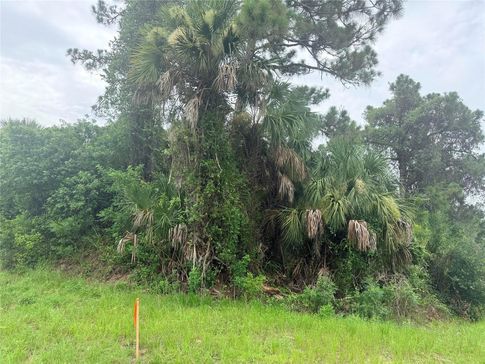 Land at 0 TISHMAN AVE, NORTH PORT, photo 10 of 16