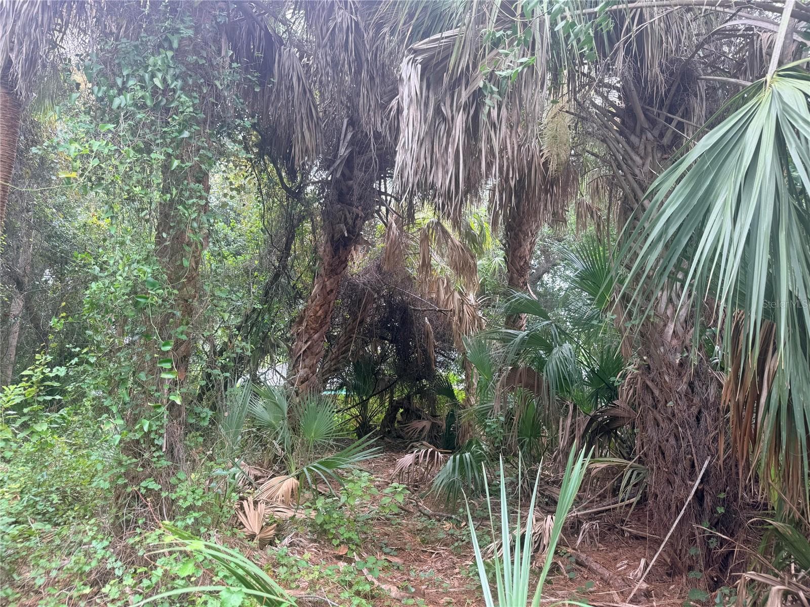 Land at 0 TISHMAN AVE, NORTH PORT, photo 11 of 16
