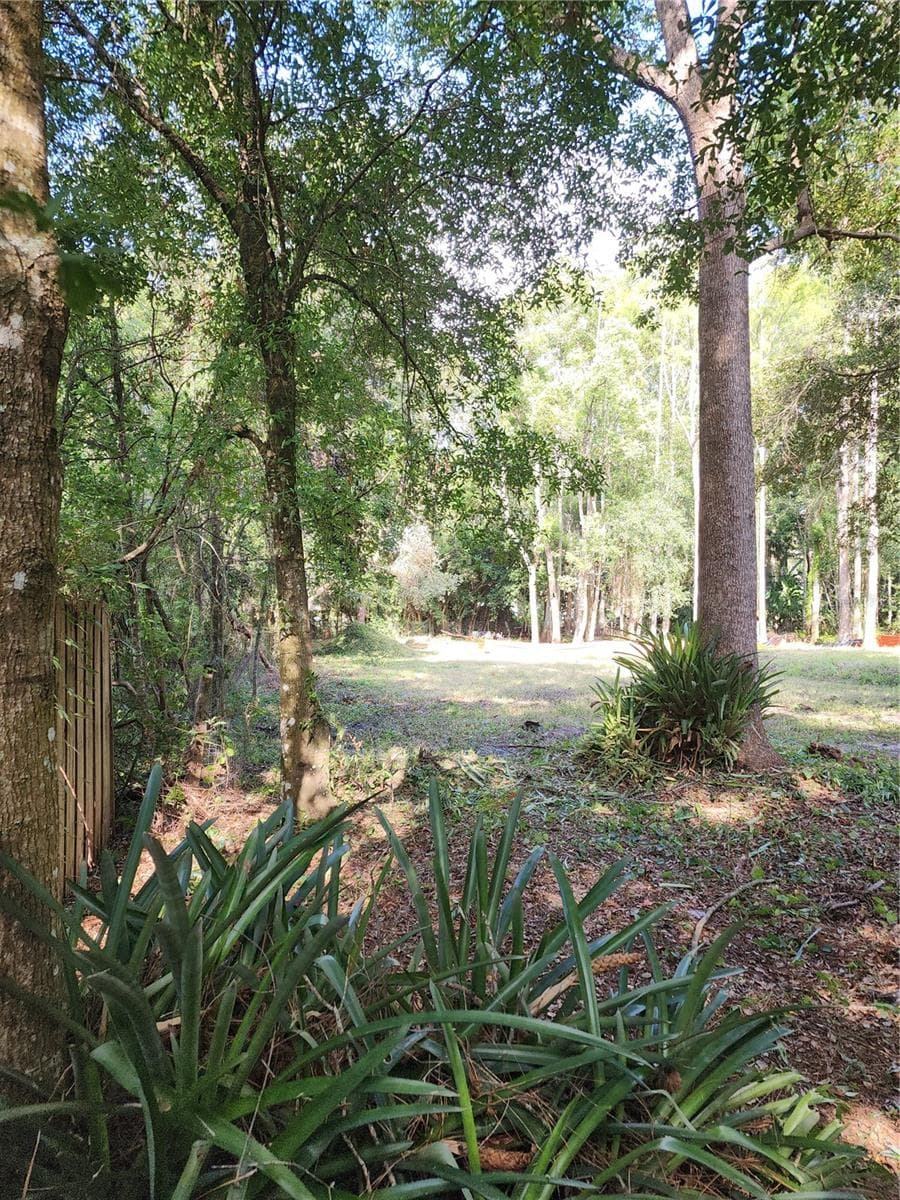 177 feet back property line from west looking east. - 7709 WINDWARD WAY, ODESSA