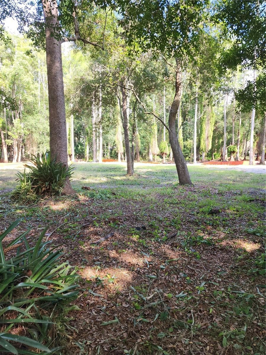 More upland back yard. - 7709 WINDWARD WAY, ODESSA