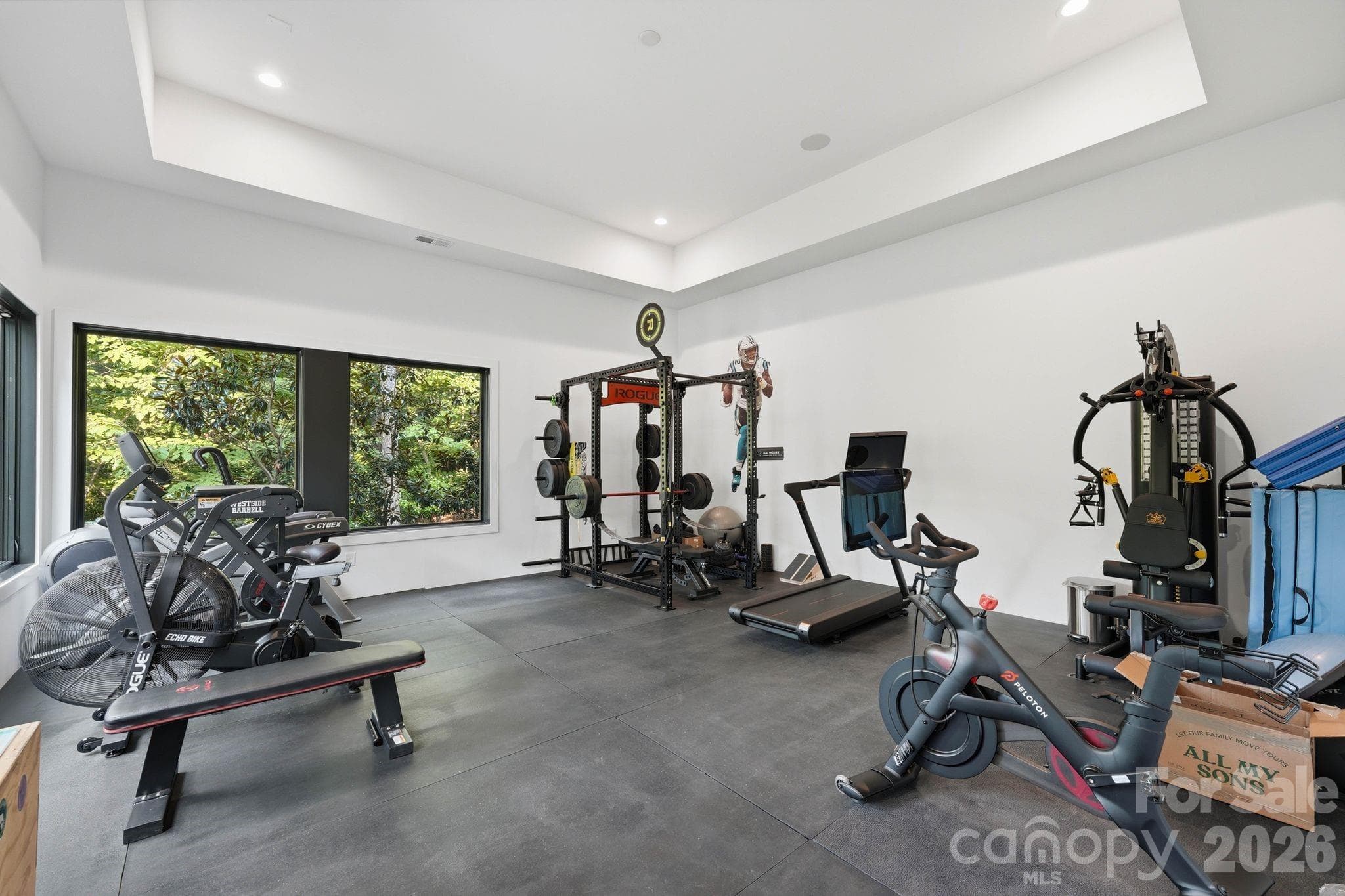 How is this for a personal gym? - 13702 Sage Thrasher Lane, Charlotte