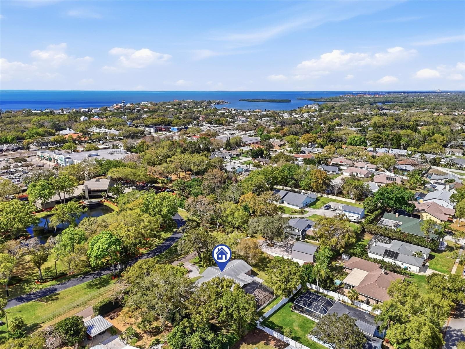 Single Family Residence at 2817 FLEEMAN RD, PALM HARBOR, photo 51 of 60