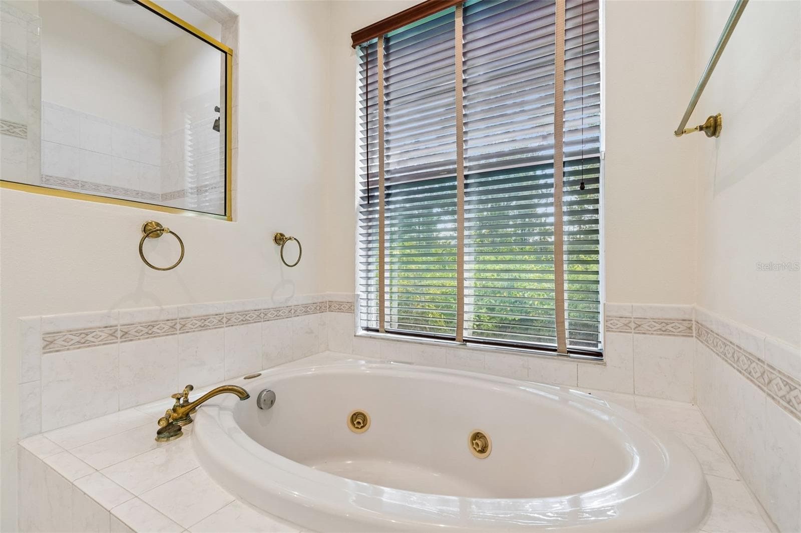 Single Family Residence at 10102 DEERCLIFF DR, TAMPA, photo 29 of 92