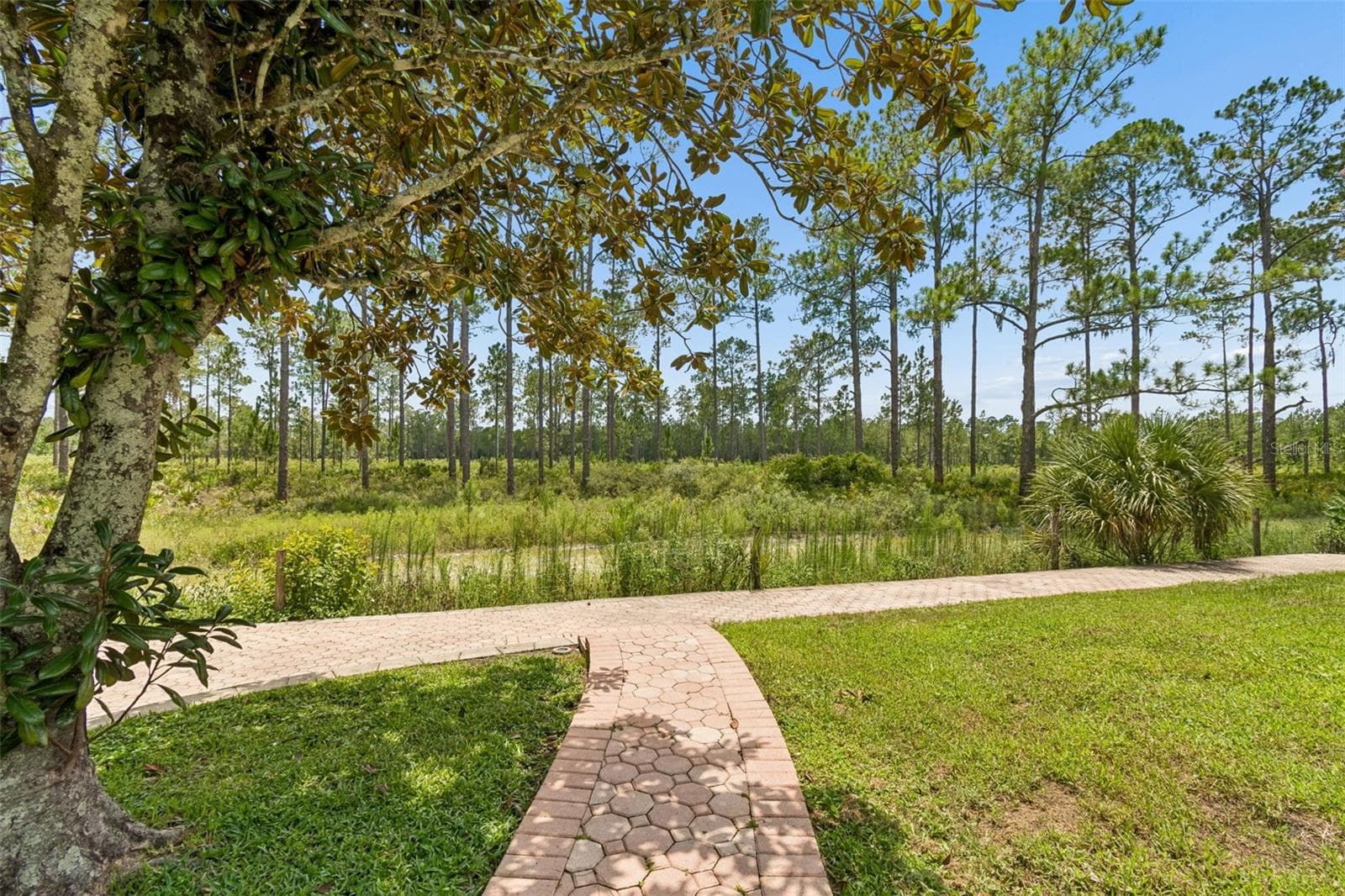 Single Family Residence at 10102 DEERCLIFF DR, TAMPA, photo 74 of 92