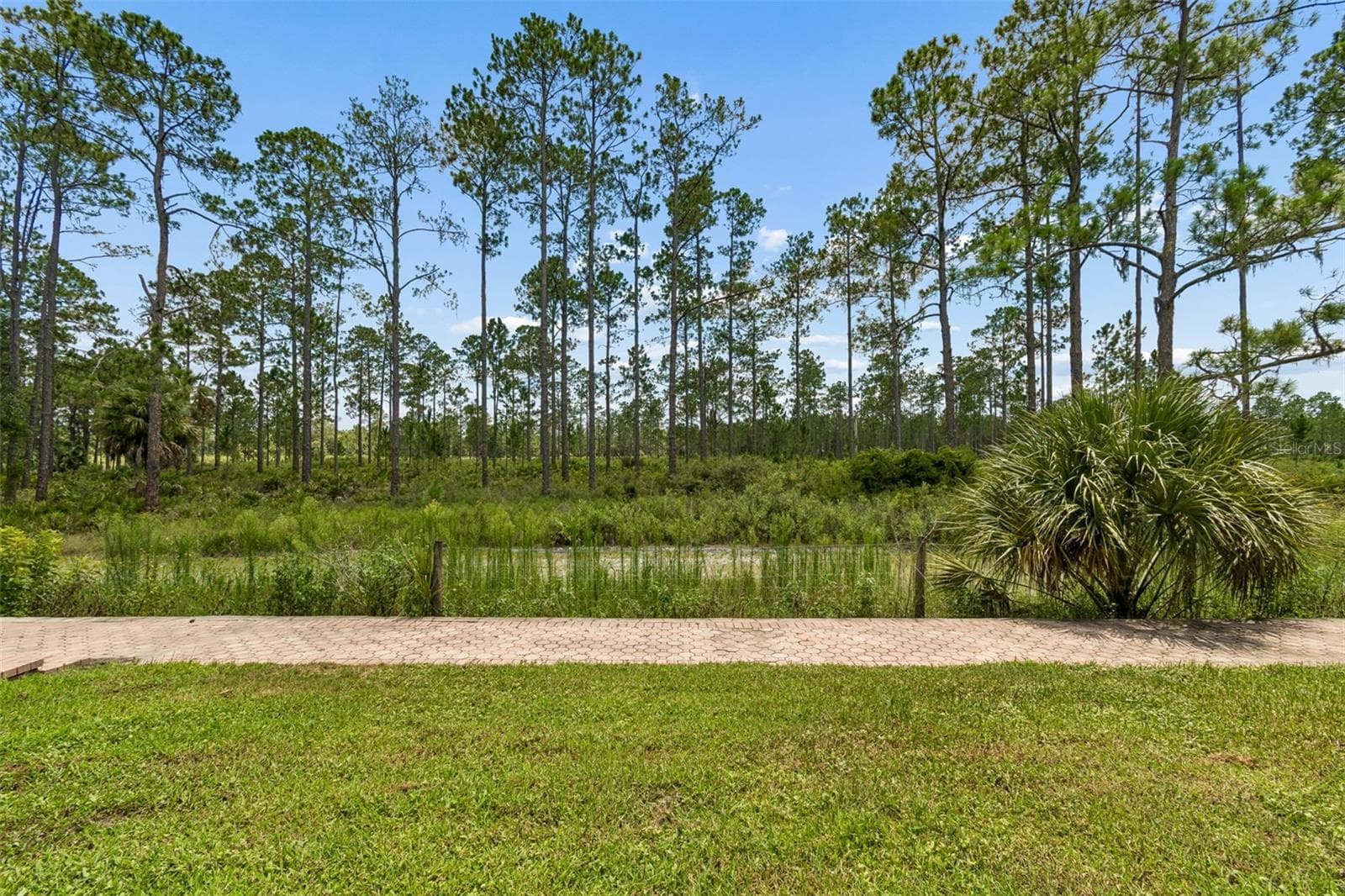 Single Family Residence at 10102 DEERCLIFF DR, TAMPA, photo 78 of 92