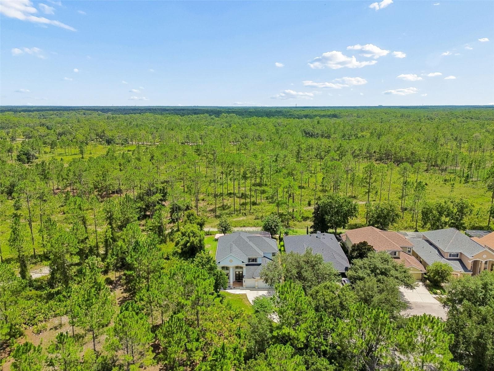 Single Family Residence at 10102 DEERCLIFF DR, TAMPA, photo 81 of 92