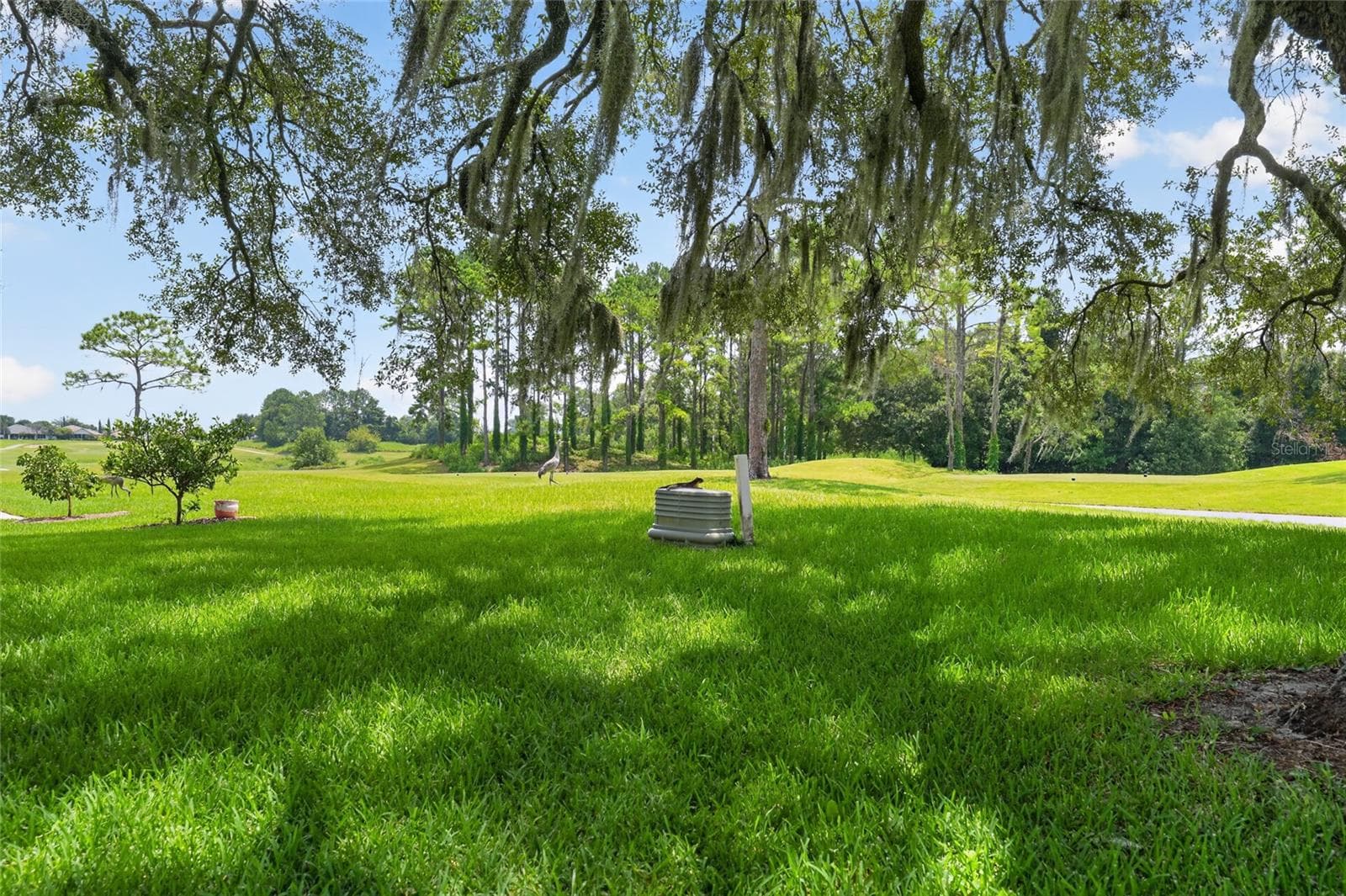 Single Family Residence at 13857 DEL WEBB BLVD, SUMMERFIELD, photo 60 of 93