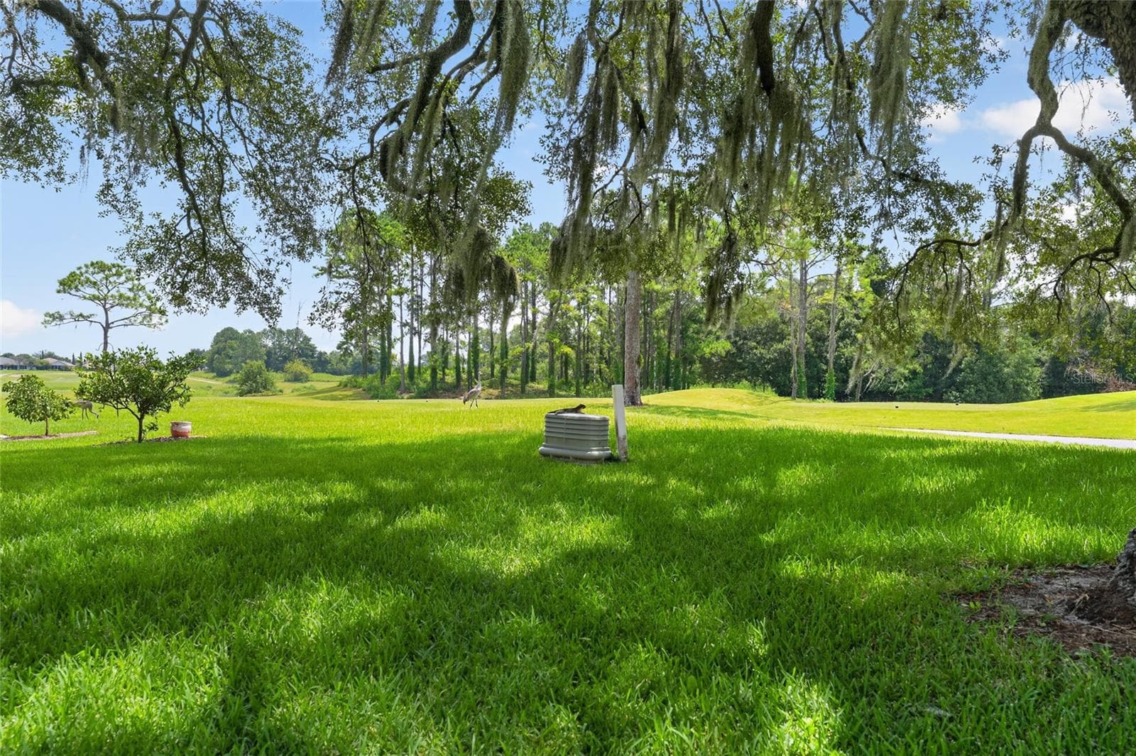 Single Family Residence at 13857 DEL WEBB BLVD, SUMMERFIELD, photo 61 of 93
