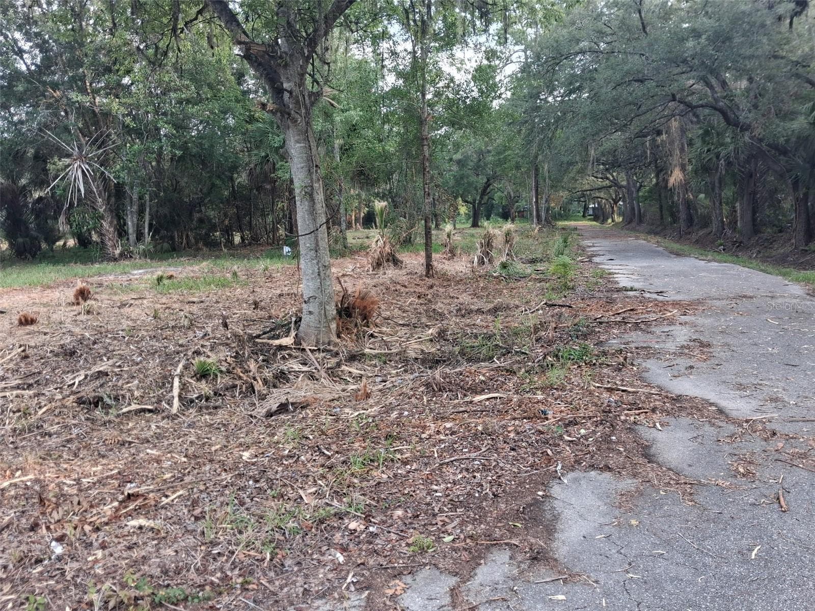 Land at 2330 E UNIVERSITY AVE, GAINESVILLE, photo 25 of 31