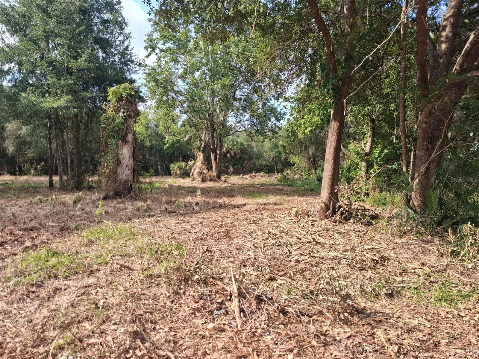 Land at 2330 E UNIVERSITY AVE, GAINESVILLE, photo 26 of 31