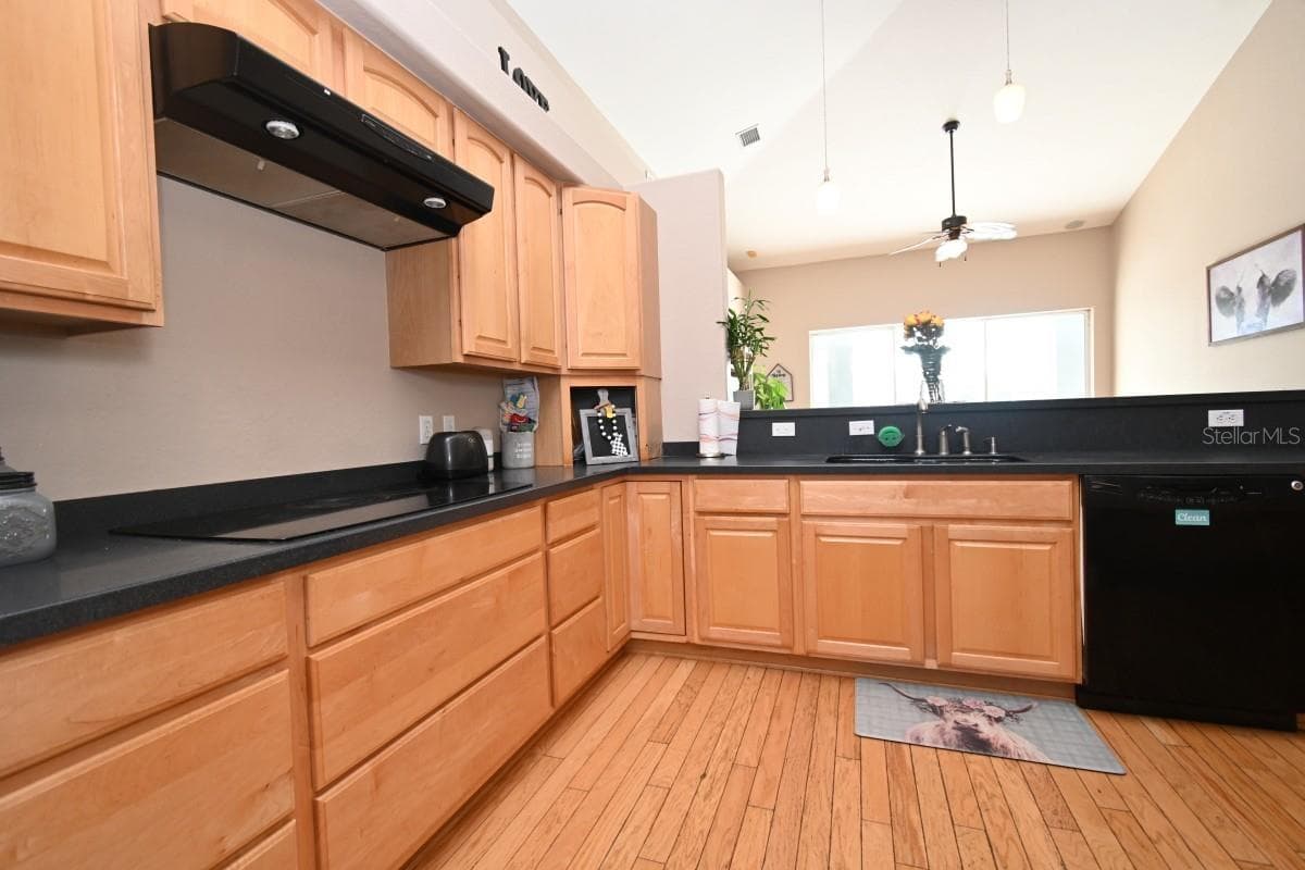 PLENTY OF CABINET STORAGE - 12106 PALM ST, SAN ANTONIO