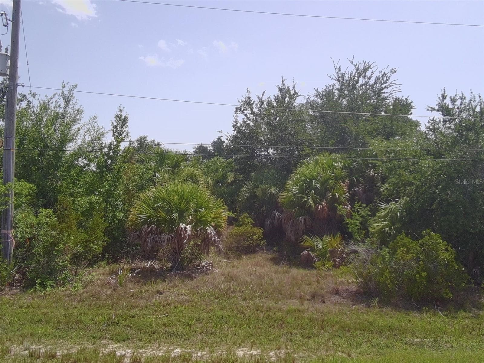 8089 BOSCO RD