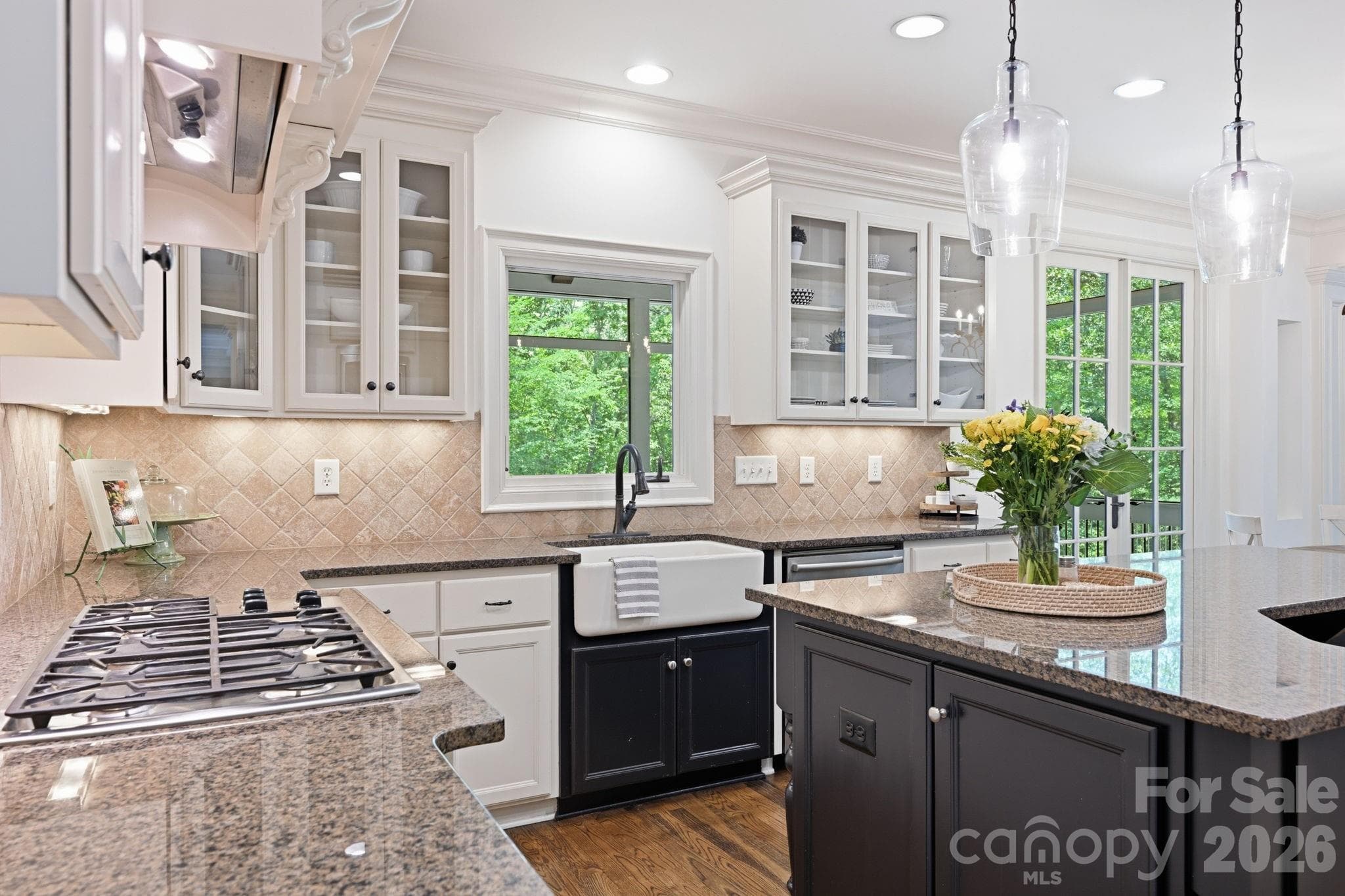 Single Family Residence at 235 Grey Road, Davidson, photo 9 of 47