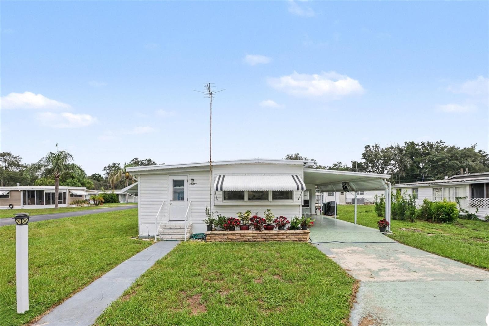 Front View - 37249 HAMMOND DR, ZEPHYRHILLS