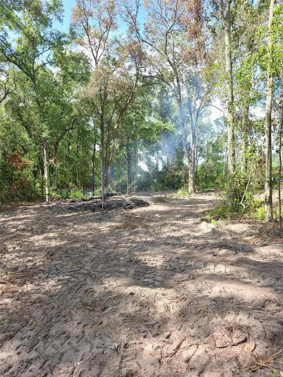 Land at Lot 111 NW 70TH AVE, TRENTON, photo 2 of 3