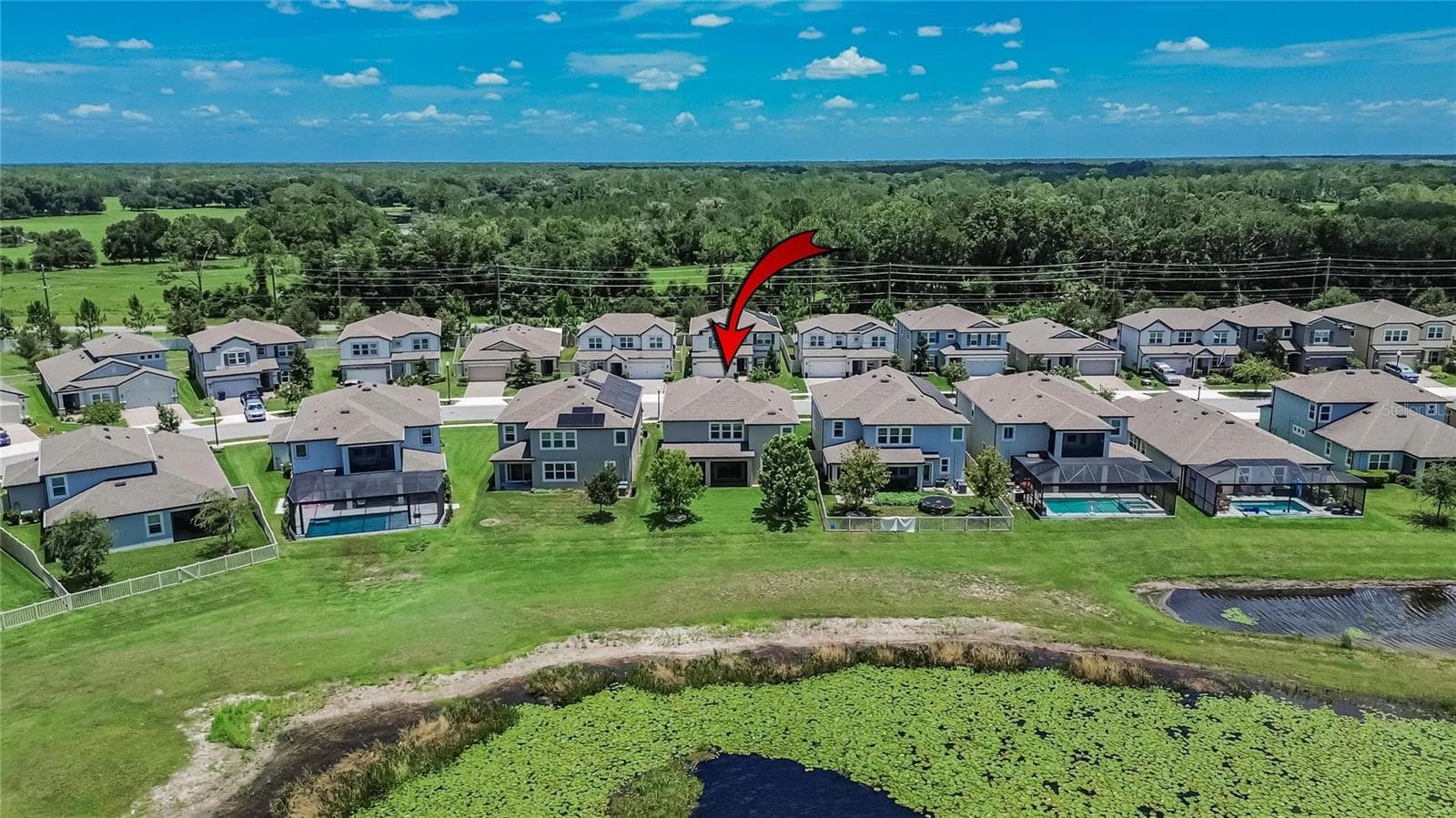Single Family Residence at 7321 GULF CYPRESS AVE, LAND O LAKES, photo 39 of 46