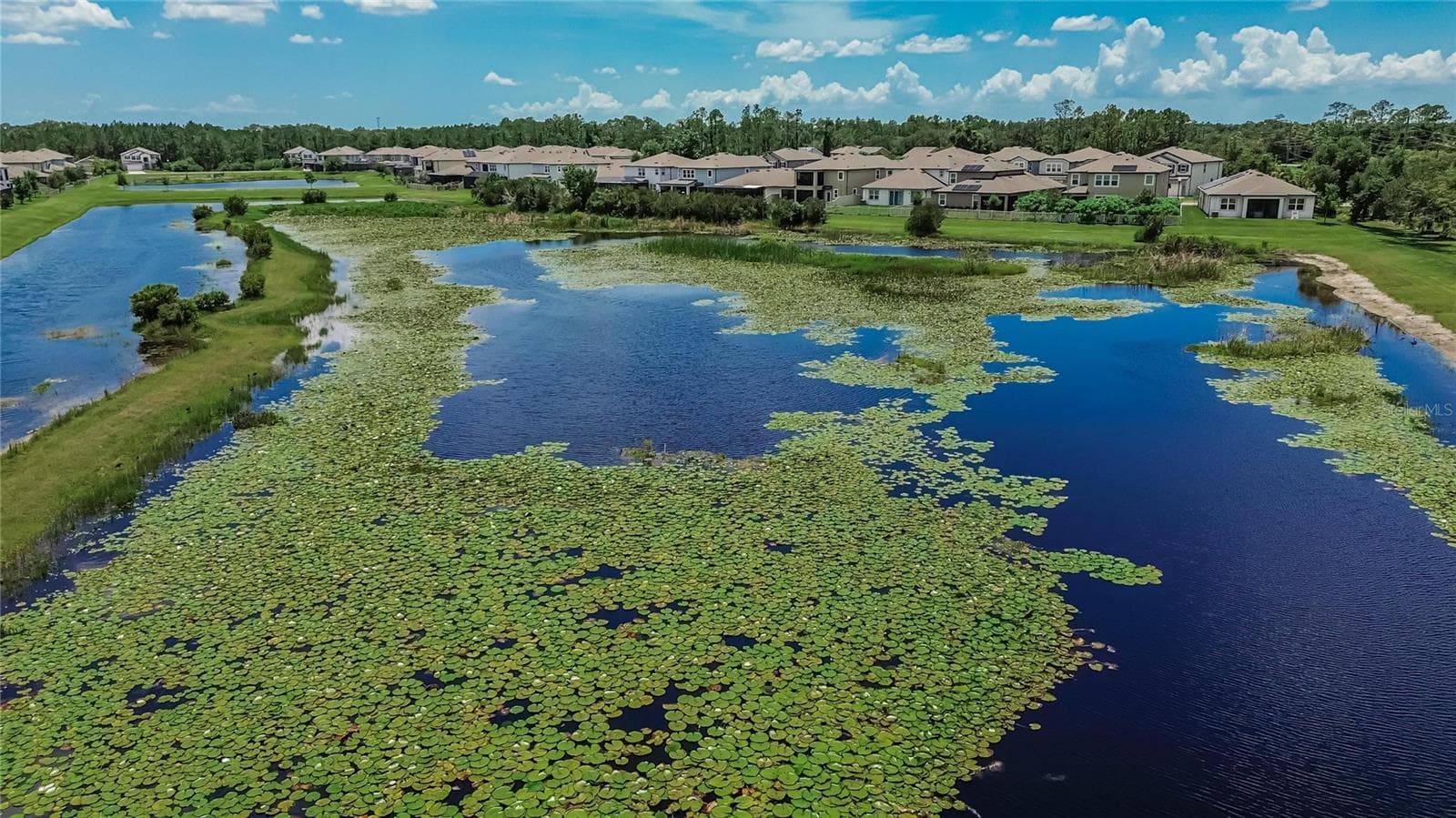 Single Family Residence at 7321 GULF CYPRESS AVE, LAND O LAKES, photo 42 of 46