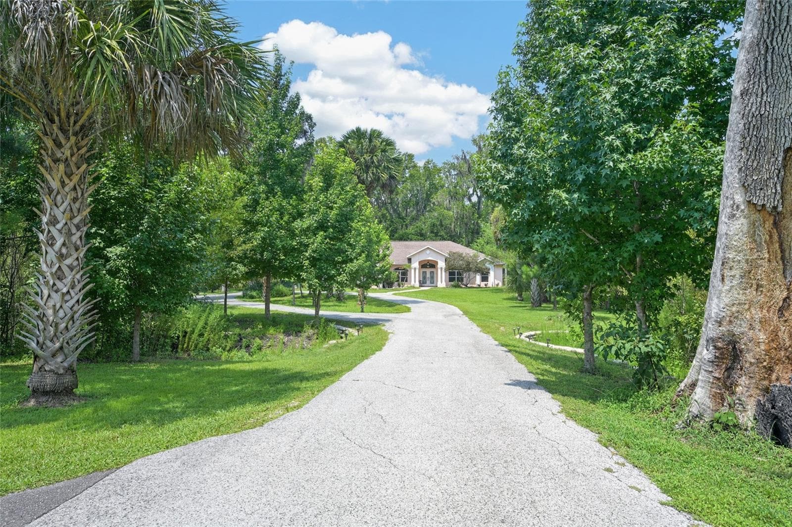 Paved Driveway with Underground Wiring - 19040 NW 88TH AVENUE RD, REDDICK