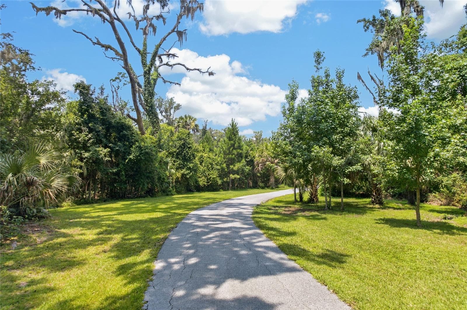 This Sprawling Property is Set Back off the Road - 19040 NW 88TH AVENUE RD, REDDICK