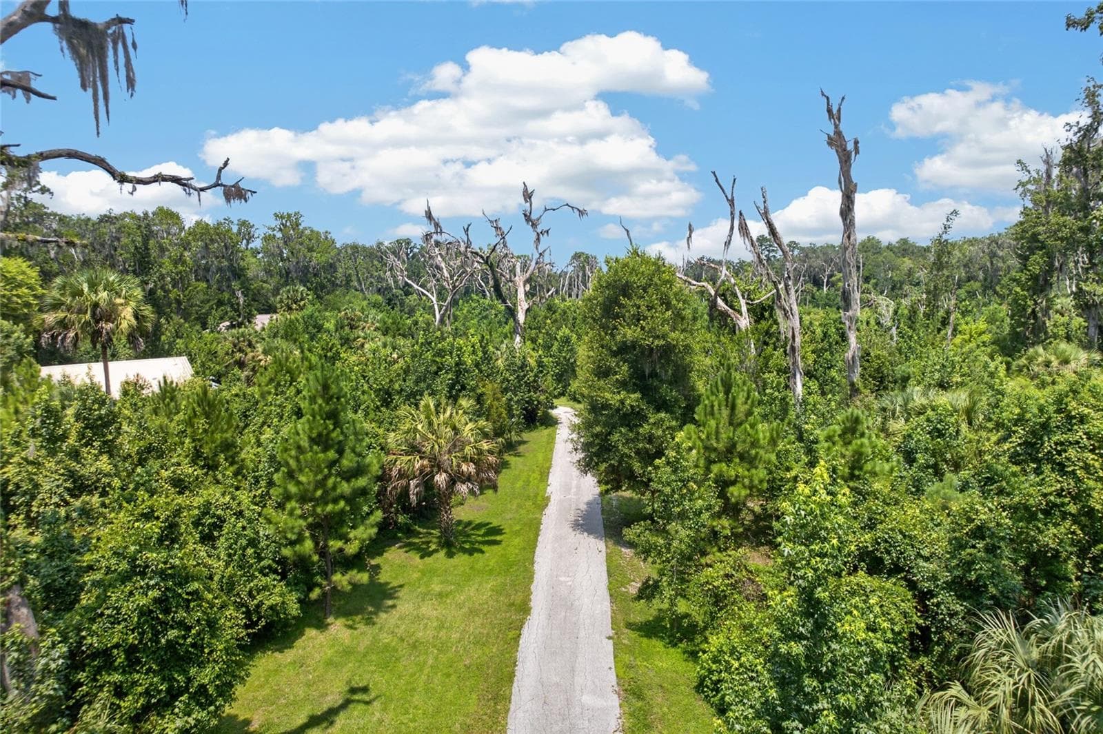 The Peaceful Driveway - 19040 NW 88TH AVENUE RD, REDDICK