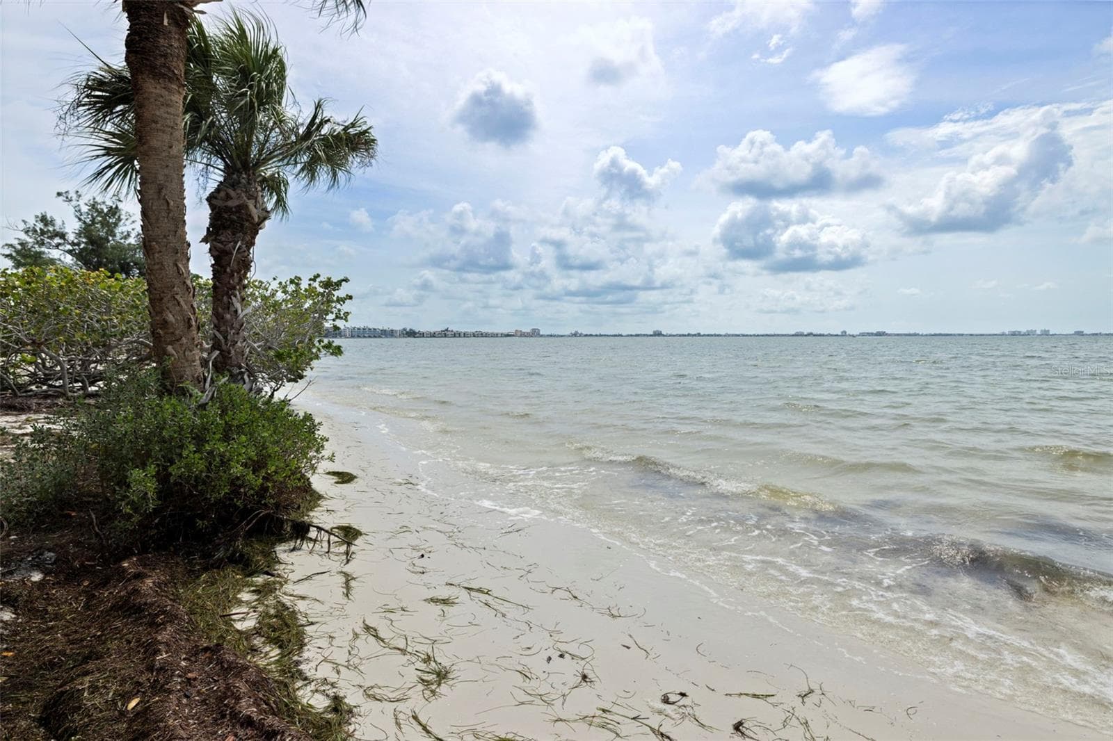 Condominium at 4737 DOLPHIN CAY LN S #401, ST PETERSBURG, photo 39 of 50