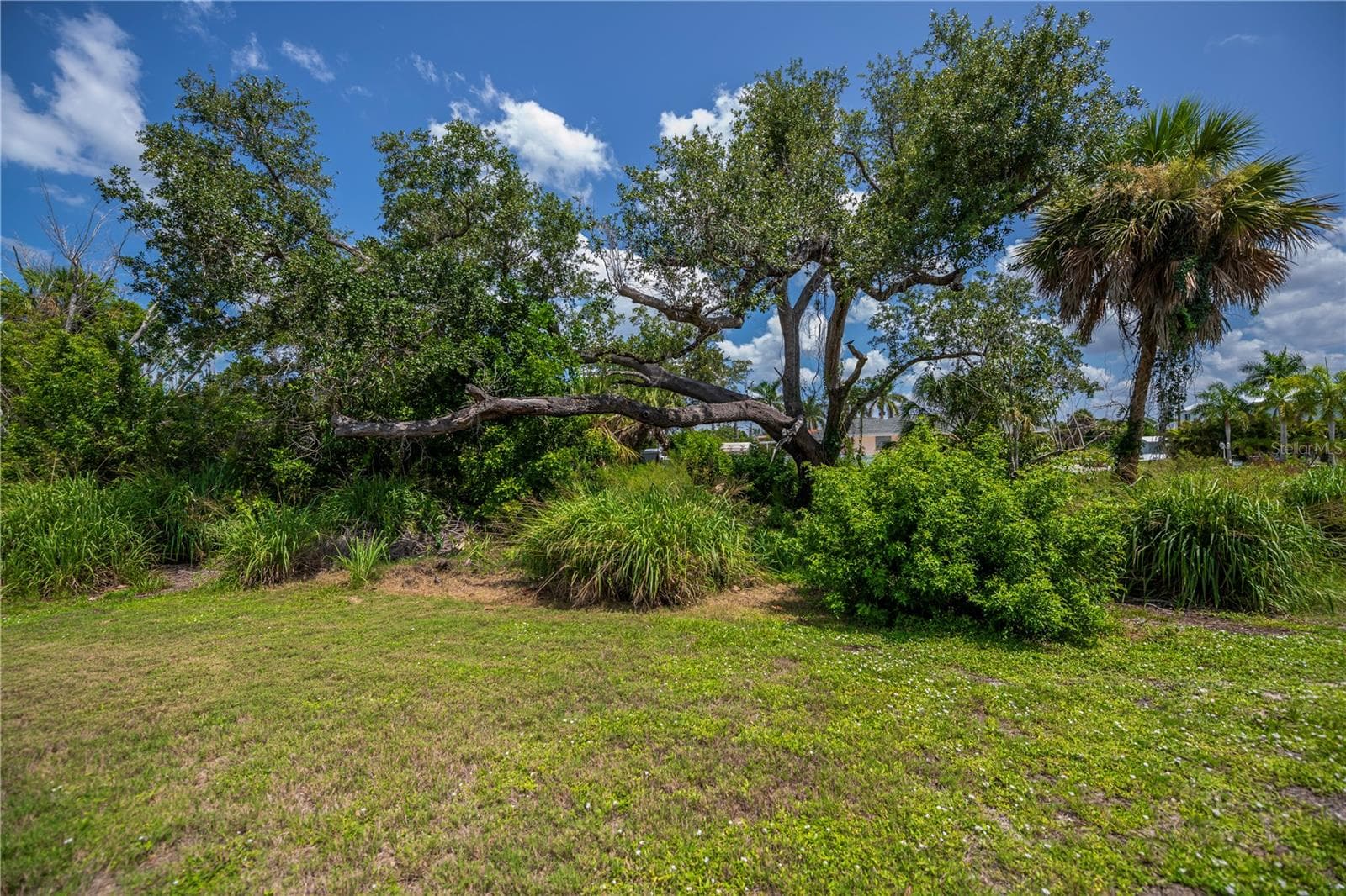 View from the backyard - 8152 SEASHELL ST, ENGLEWOOD