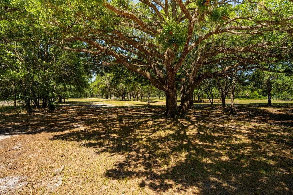 Land at 0 MILLER RD, DADE CITY, photo 3 of 6
