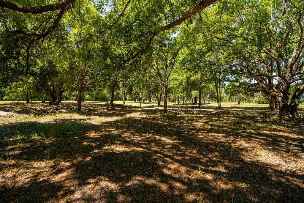 Land at 0 MILLER RD, DADE CITY, photo 4 of 6