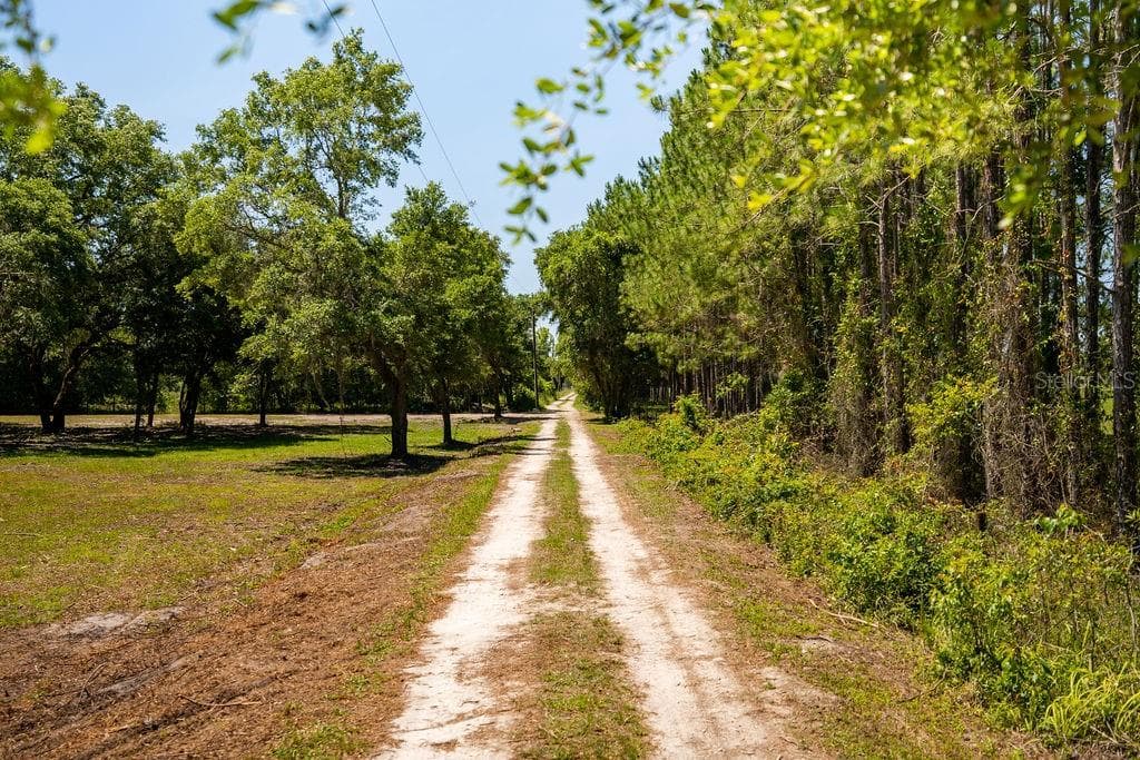 Land at 0 MILLER RD, DADE CITY, photo 6 of 6