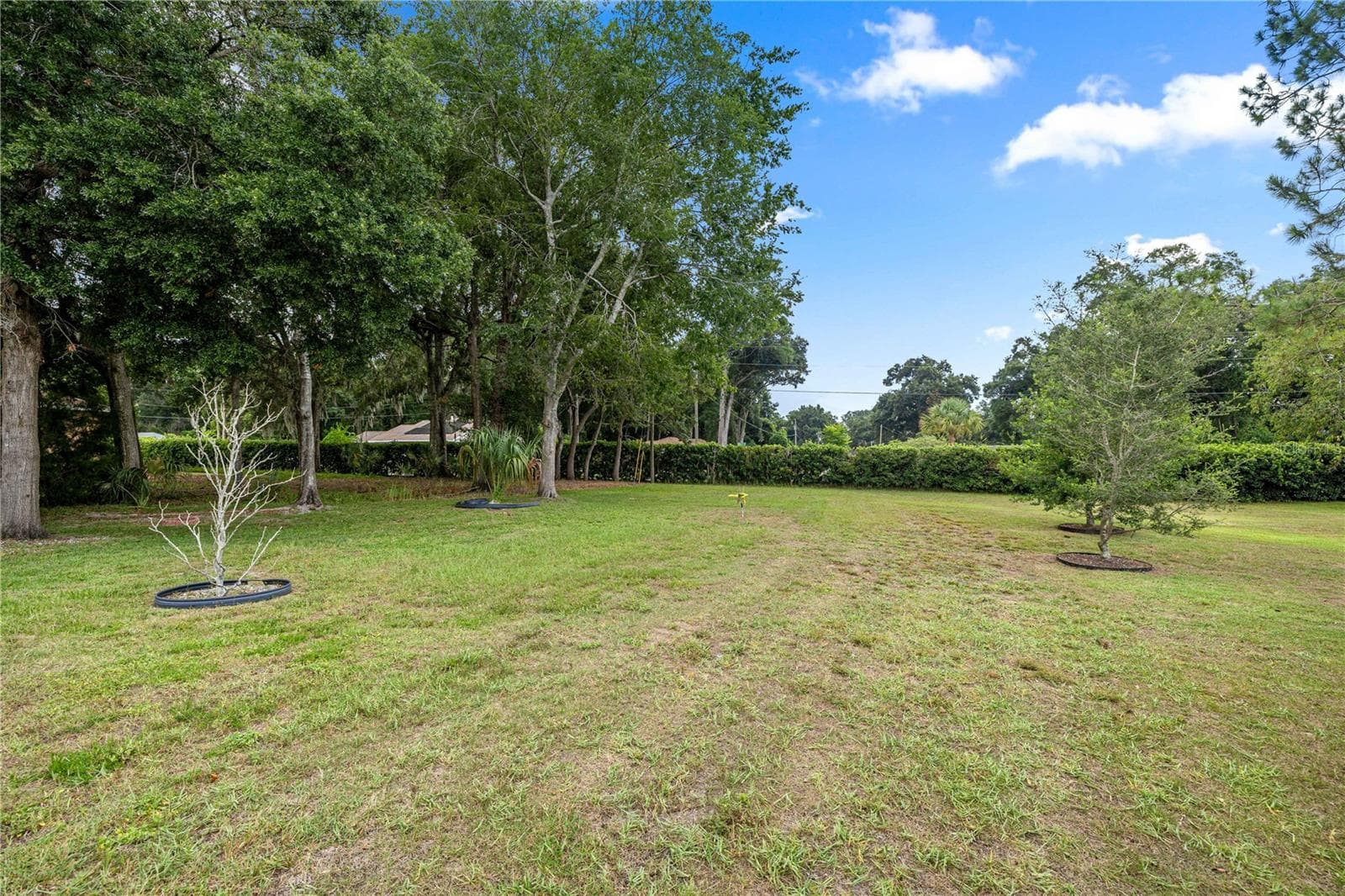 Single Family Residence at 7767 SW 80TH PLACE RD, OCALA, photo 14 of 53