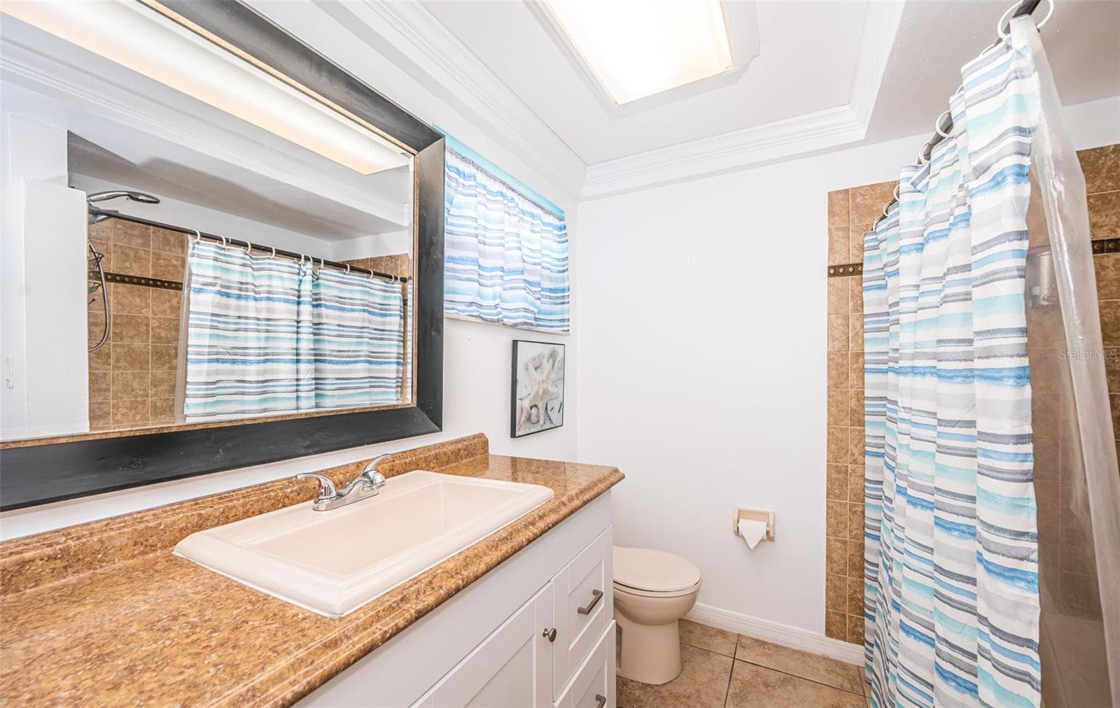 Guest Bathroom - 3627 GRAYTON DR, NEW PORT RICHEY