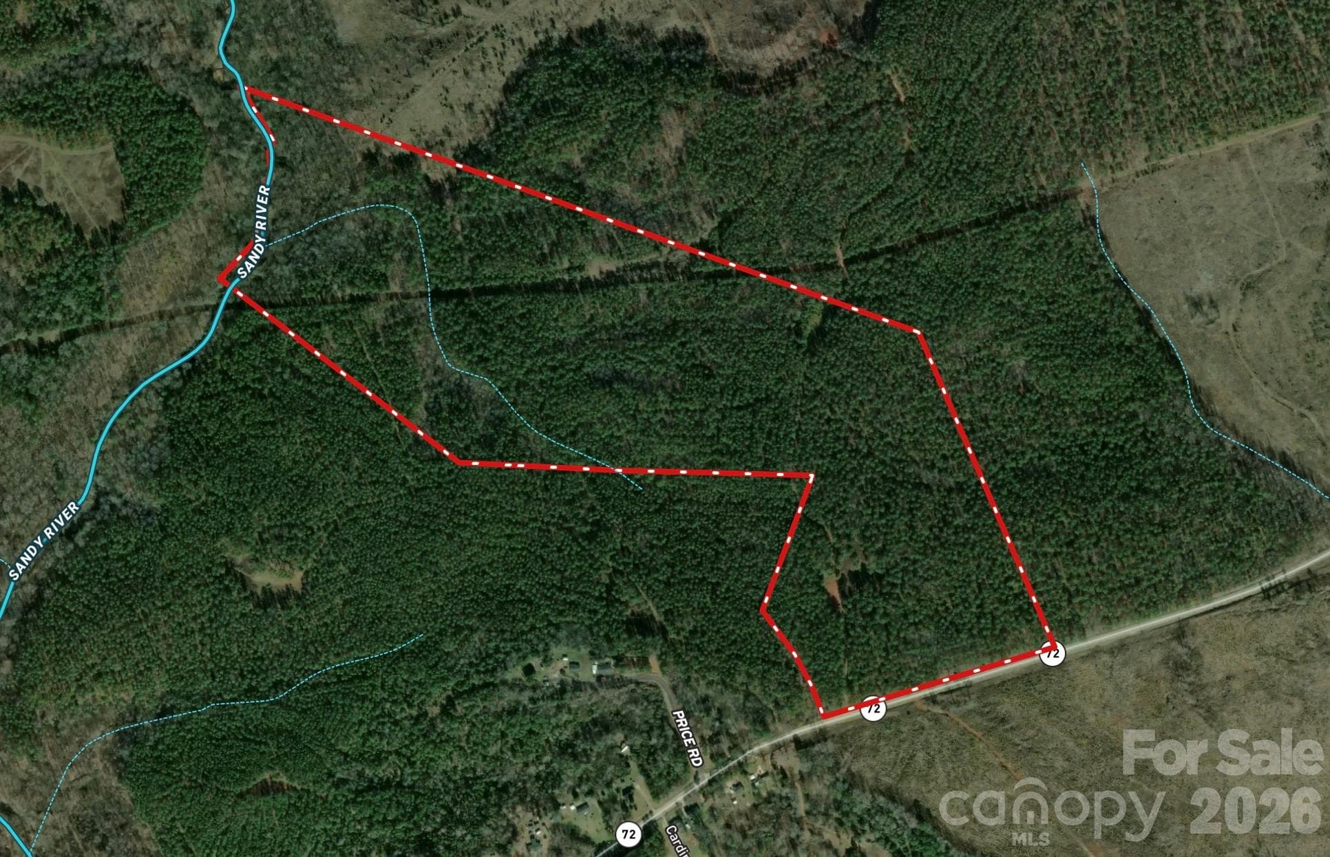 Large hunting and recreational tract in Chester SC - 0000 Hwy 72 Highway, Carlisle