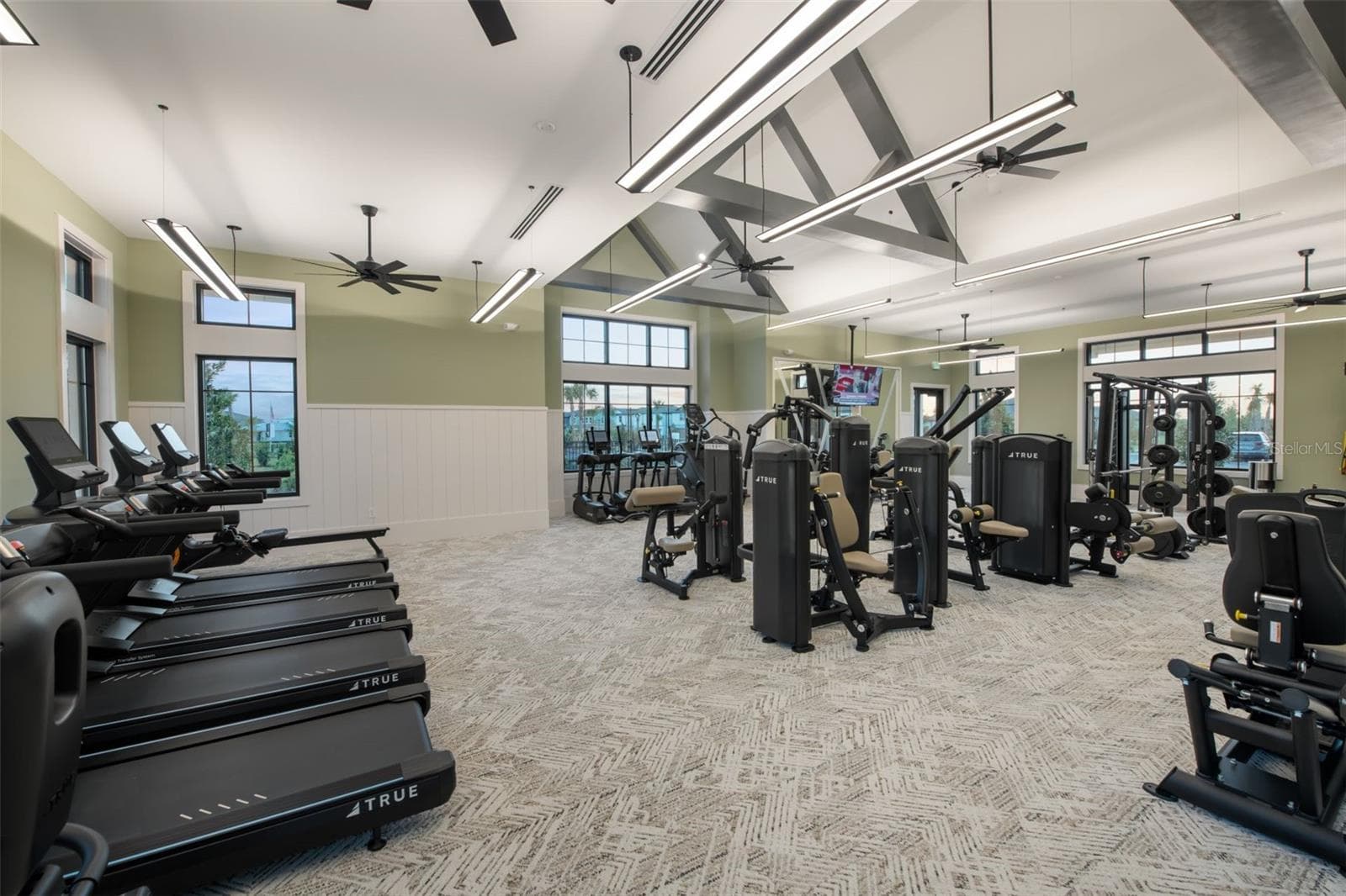 State of the Art Equipment - 6565 BLAZING SPIRIT ST, WESLEY CHAPEL