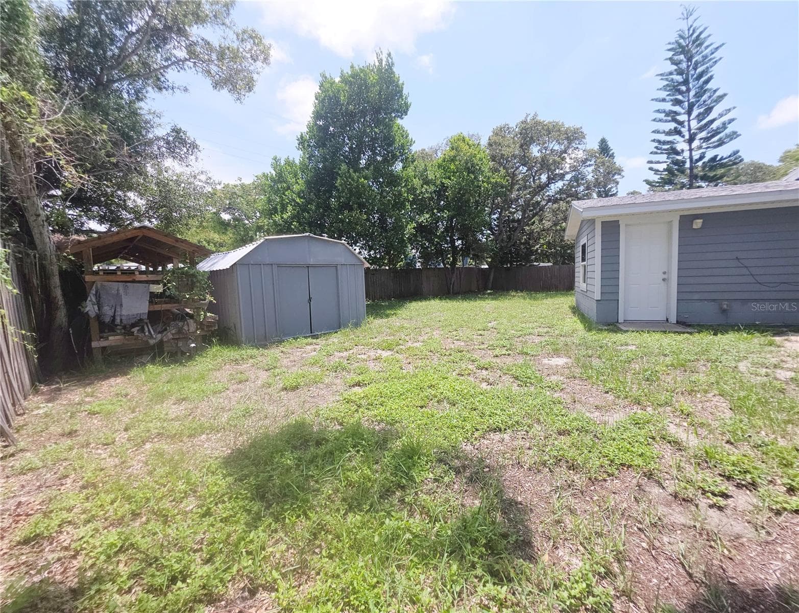 Backyard - 623 DEXTER DR, DUNEDIN