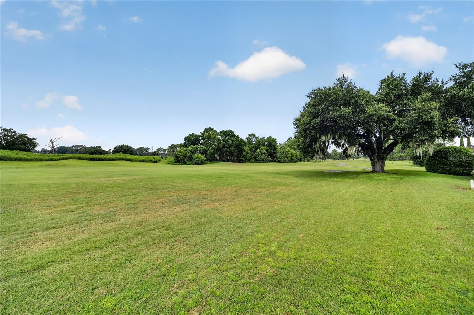 golf course behind home - 13500 SE 97TH TERRACE RD, SUMMERFIELD