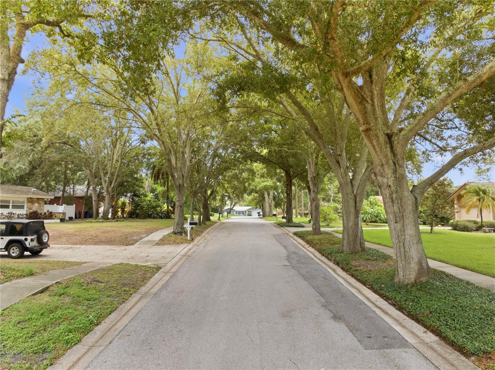 Single Family Residence at 2860 BRIARWOOD LN, PALM HARBOR, photo 8 of 58