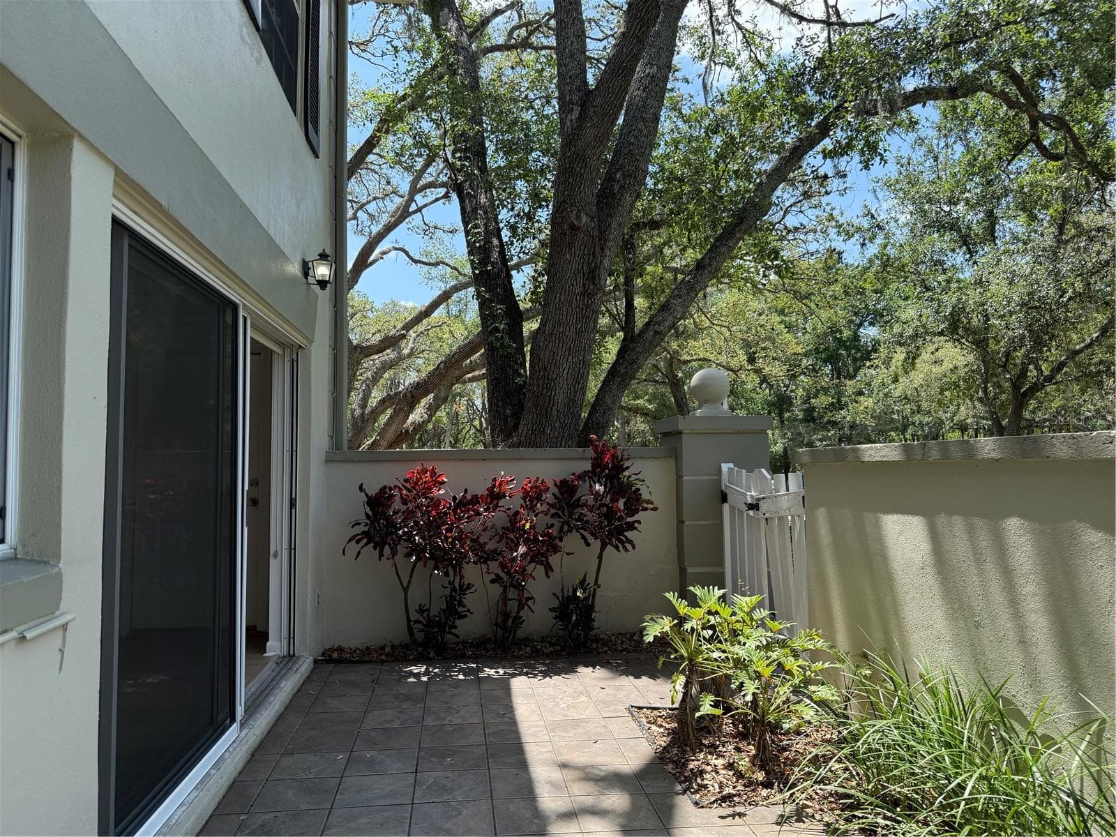 Patio - 6206 DEWDROP WAY, TEMPLE TERRACE