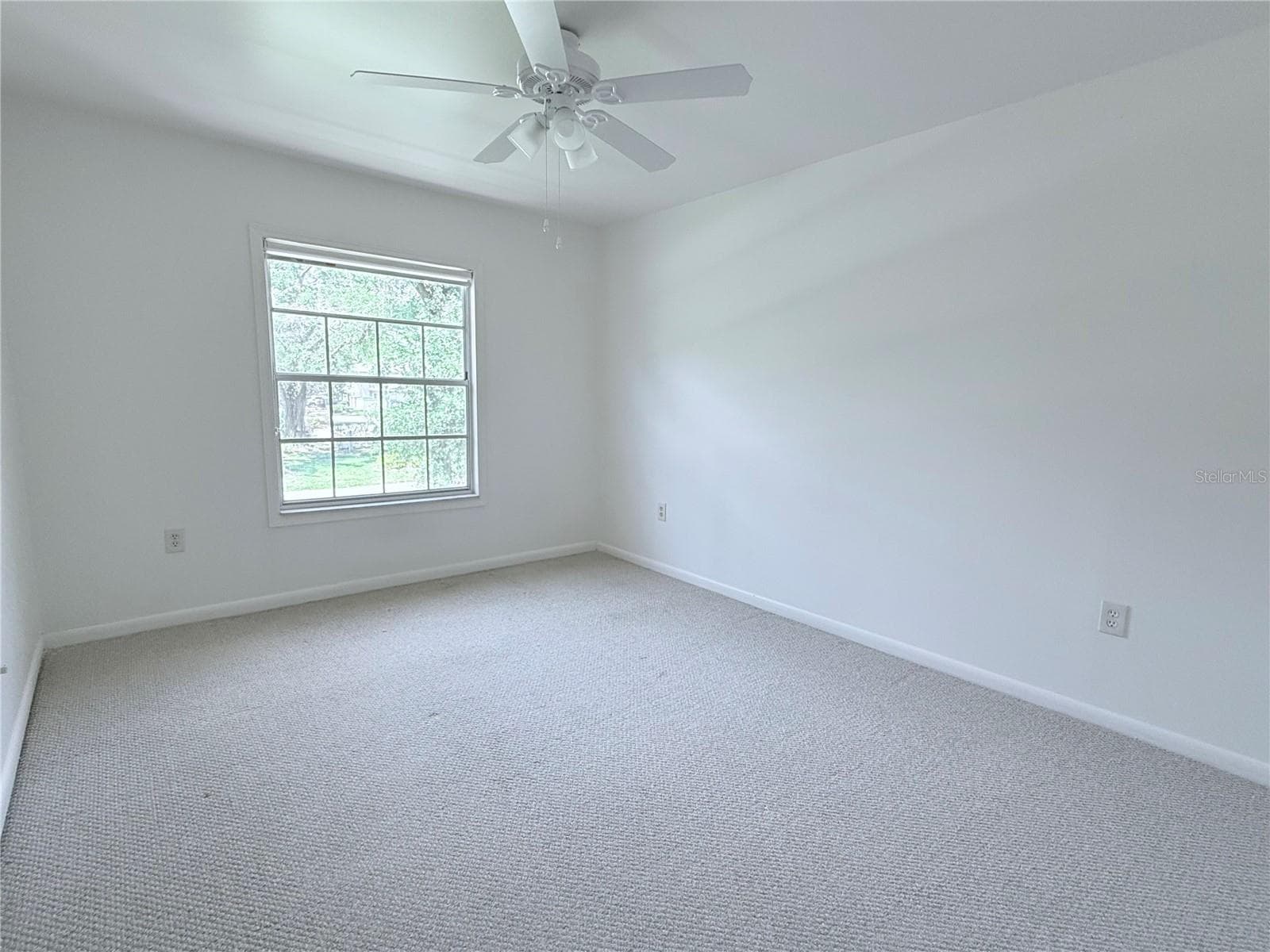 Bedroom 2 - 6206 DEWDROP WAY, TEMPLE TERRACE