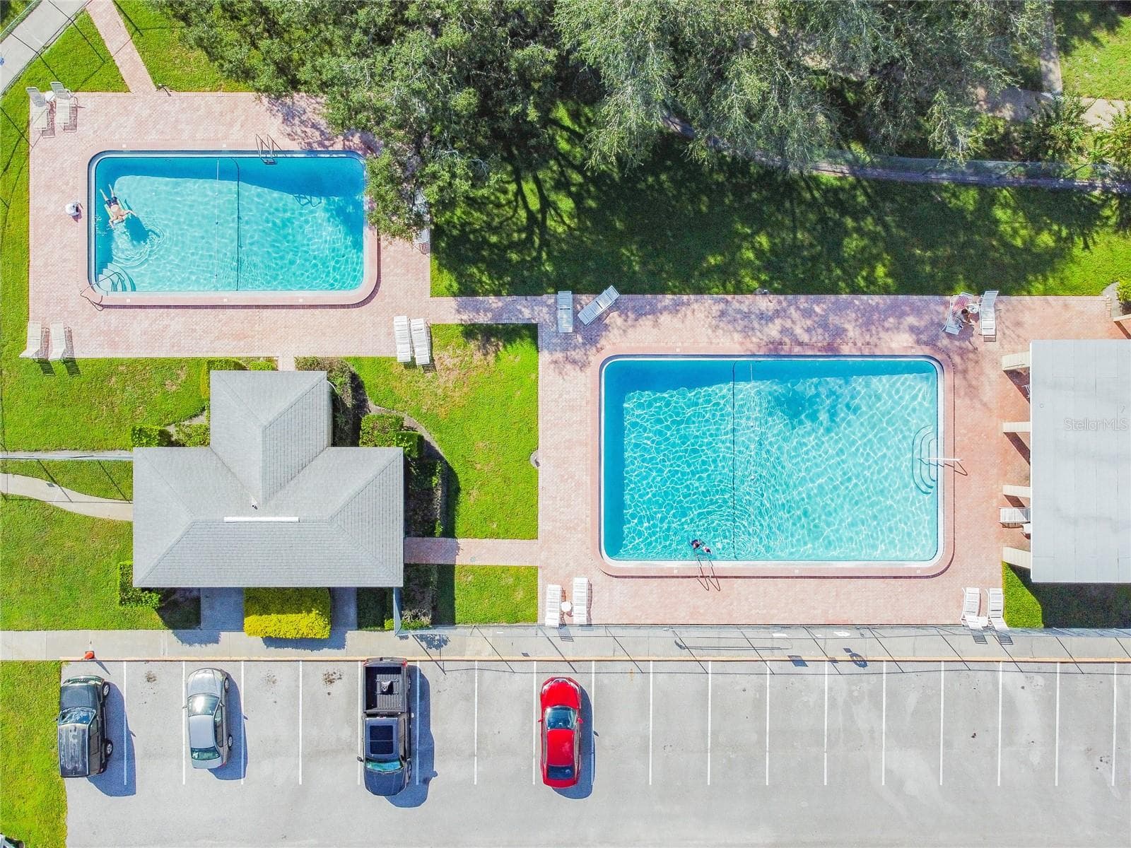 Community Pool - 6206 DEWDROP WAY, TEMPLE TERRACE