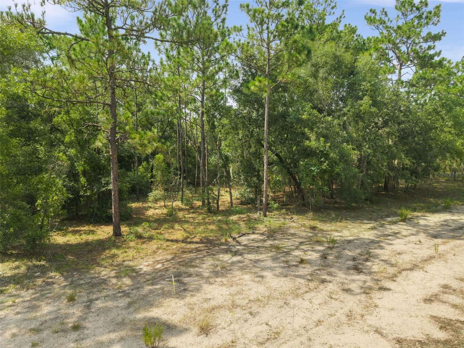 Land at NE 156TH CT, WILLISTON, photo 7 of 11