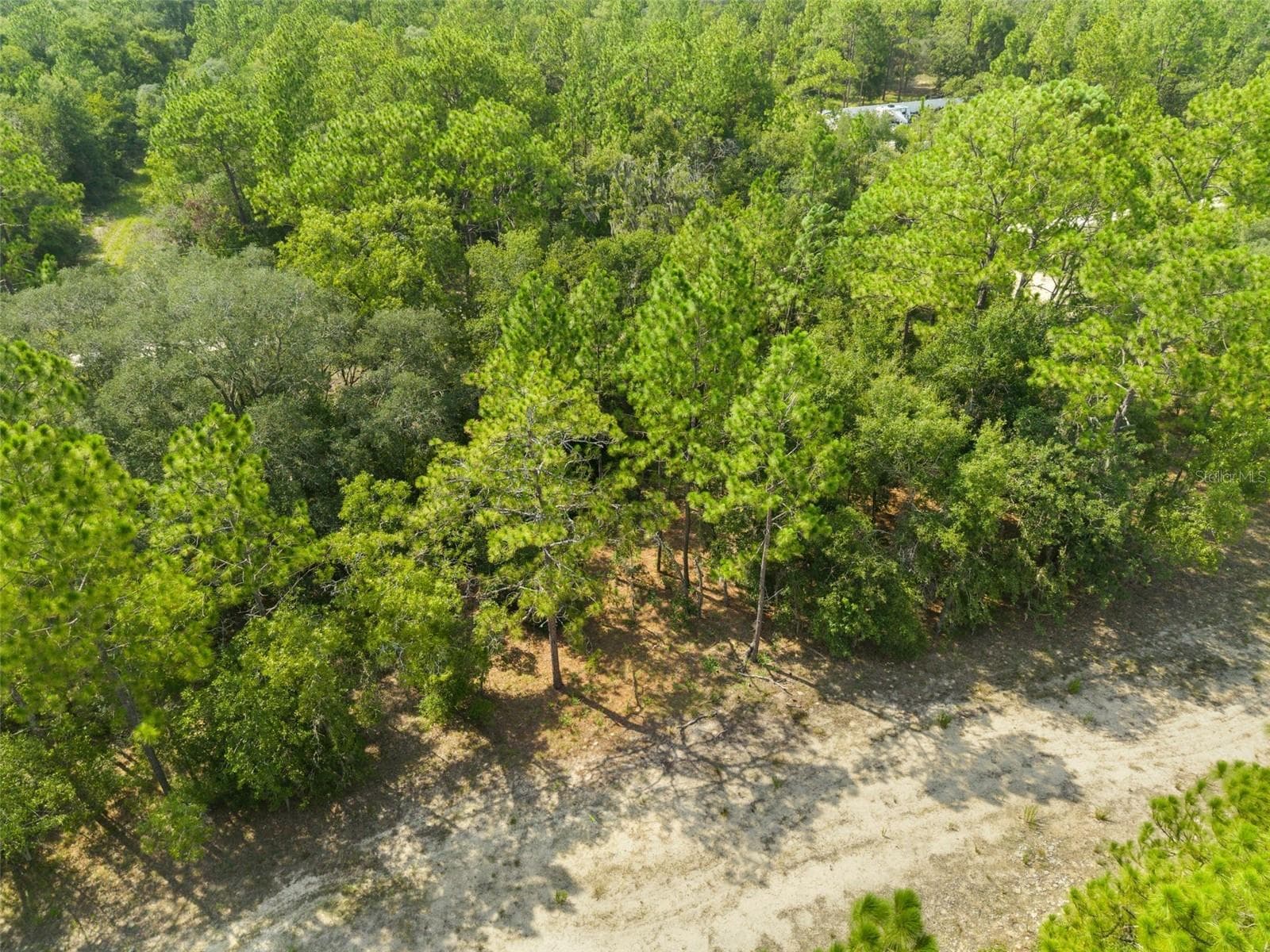 Land at NE 156TH CT, WILLISTON, photo 9 of 11