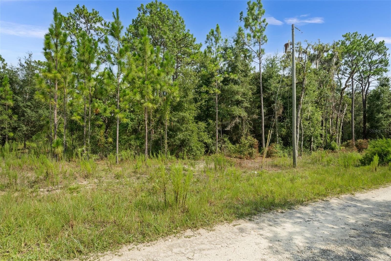Land at NE 156TH CT, WILLISTON, photo 11 of 11