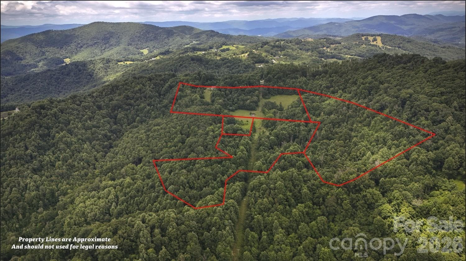 60 Acres are identified in RED - 7277 Beech Mountain Road, Beech Mountain