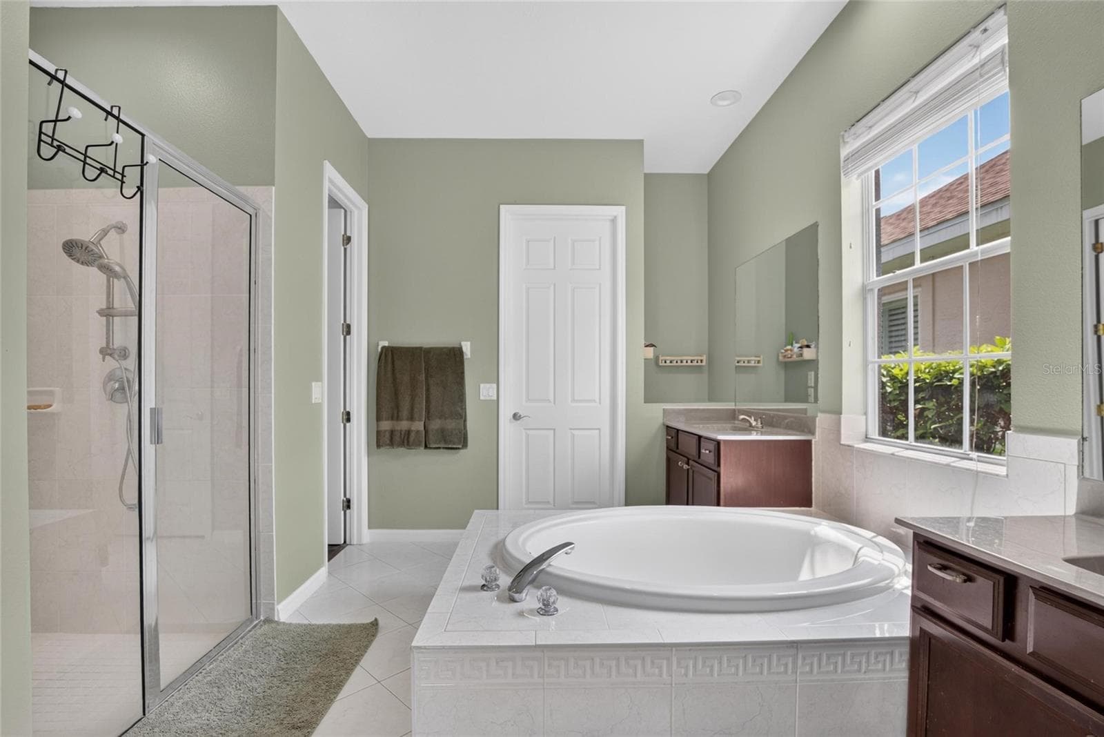 Master Bath - 10103 DEERCLIFF DR, TAMPA