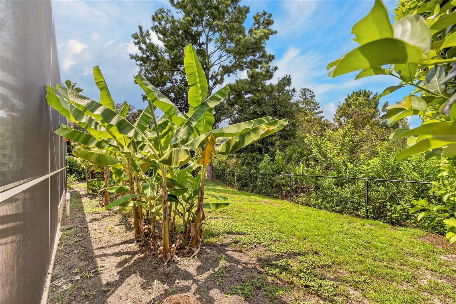 Single Family Residence at 10103 DEERCLIFF DR, TAMPA, photo 62 of 94