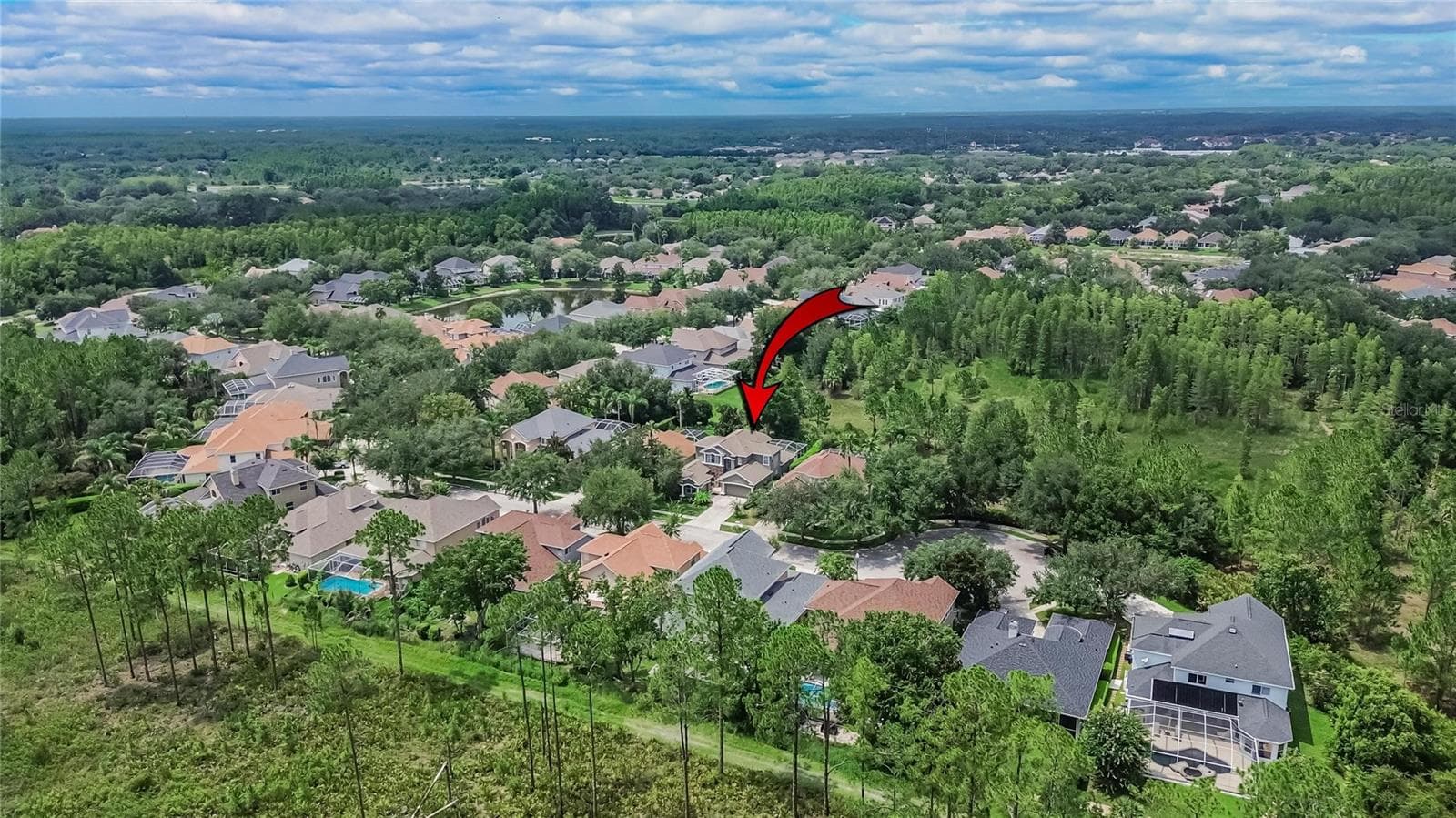 Single Family Residence at 10103 DEERCLIFF DR, TAMPA, photo 70 of 94